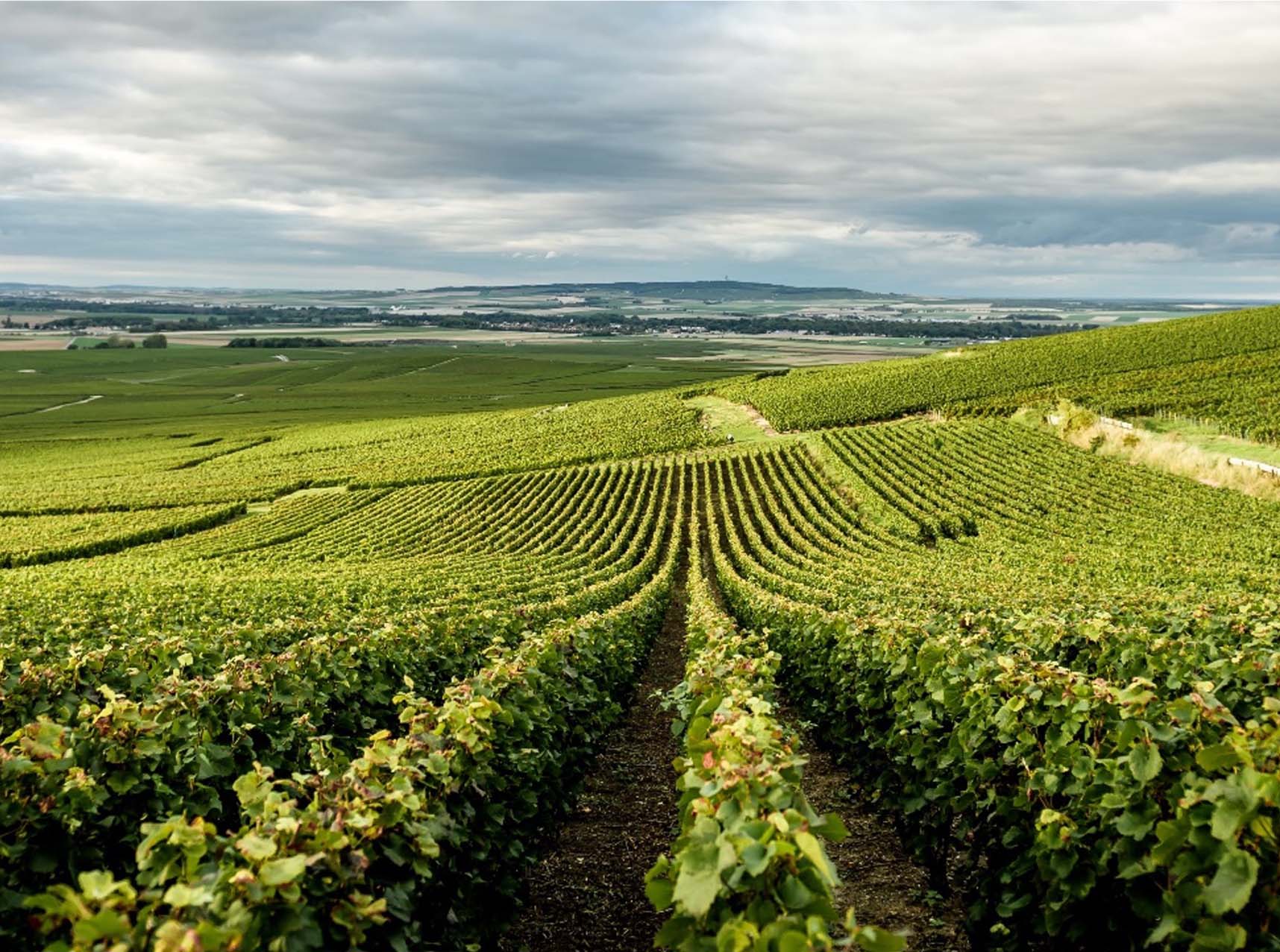 Santa Fe Wine & Chile Fiesta Santa Fe Wine and Chili Santa Fe Wine